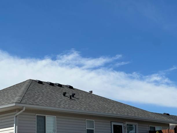 Best Roof Waterproofing  in USA